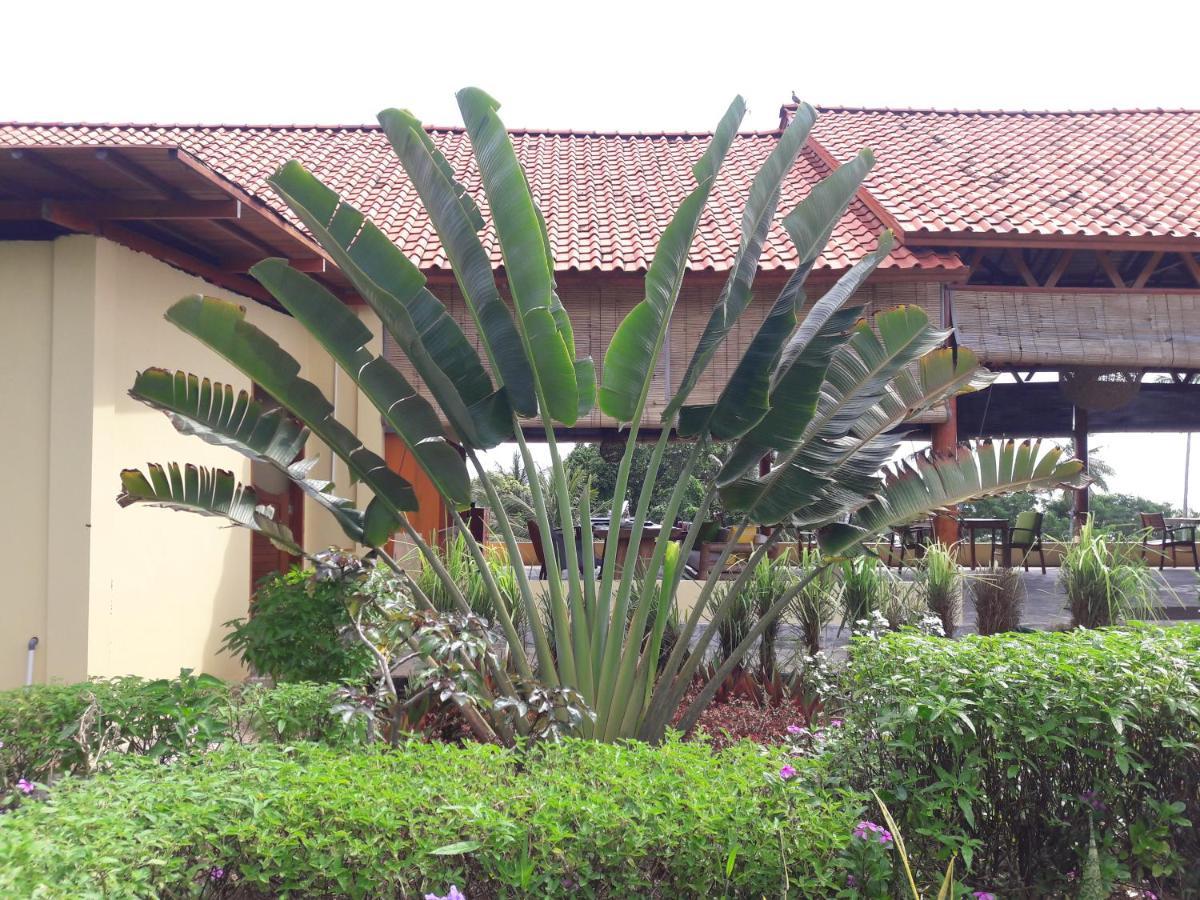 Marind Dive Eco Resort Waha Exterior photo